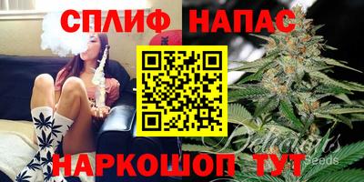 дмт Волгодонск