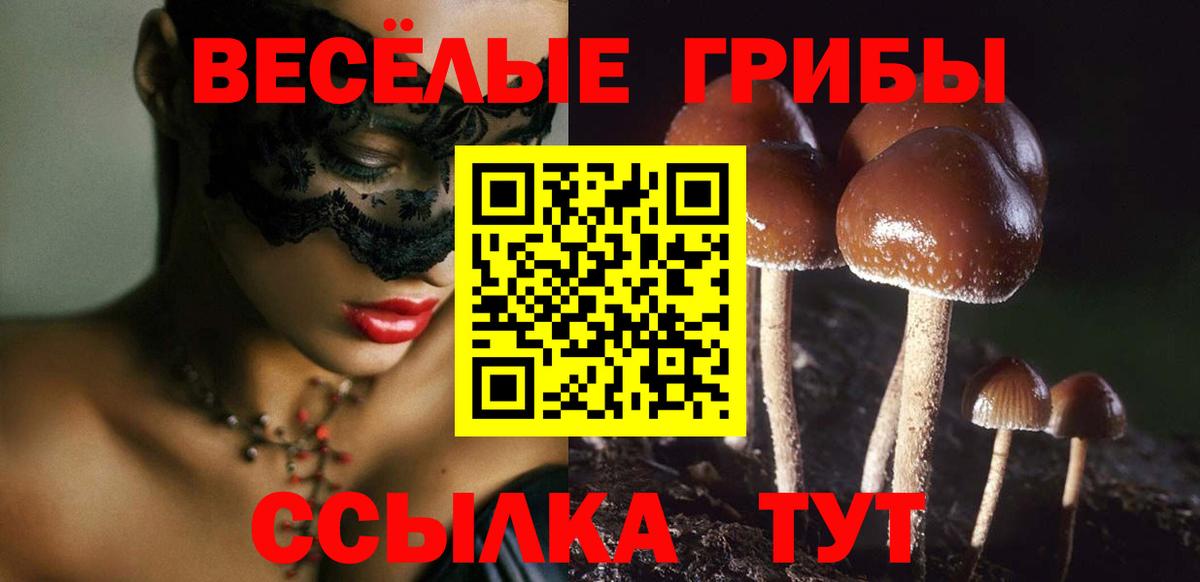 Борзя  Галлюциногенные грибы прущие грибы  Вход с VPN 